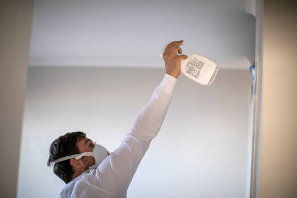 Best Fast Mold Removal  in Henry, IL