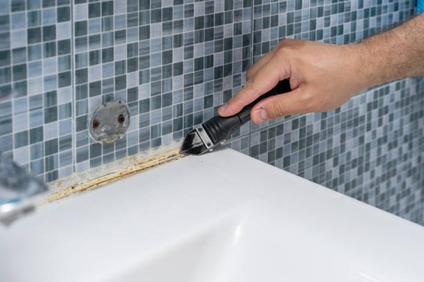Best Affordable Mold Removal  in Henry, IL