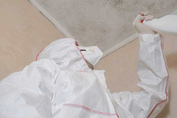 Best Mold Testing  in Henry, IL